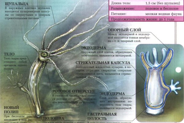 Как зайти на kraken в 2024